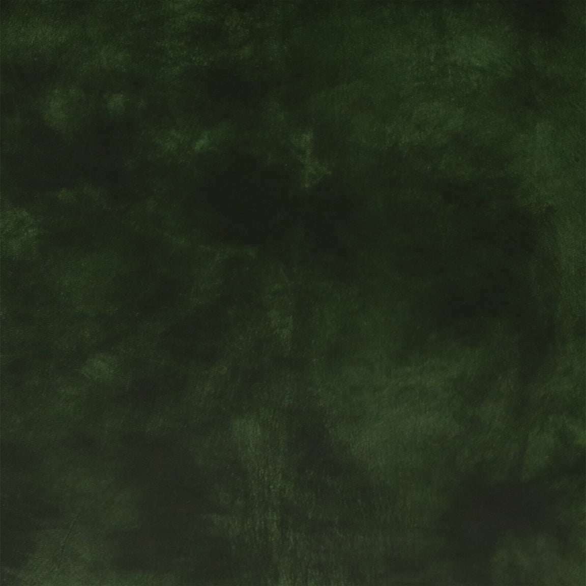 1 Seater Leather Sofa in Green Color - material detail