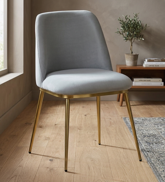 Avila Metal Dining Chair with Grey Velvet (Set of 2) - 7456025303
