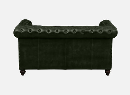2 Seater Leather Sofa in Green Color - back view