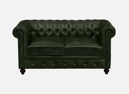 2 Seater Leather Sofa in Green Color - front view