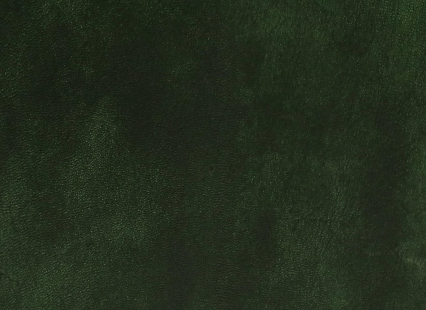 2 Seater Leather Sofa in Green Color - material detail