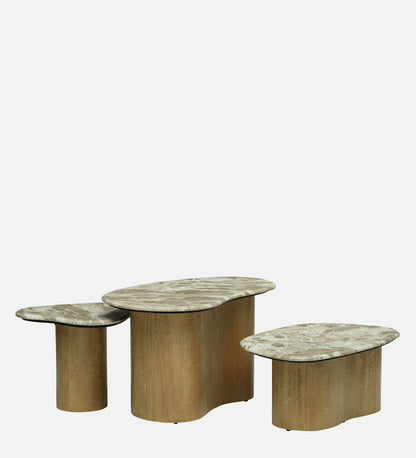 Palmo Set of 3 Coffee Table - H7a6243