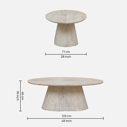 Sandblasted Mango Wood Coffee Table in Whitewash Finish - dimensions
